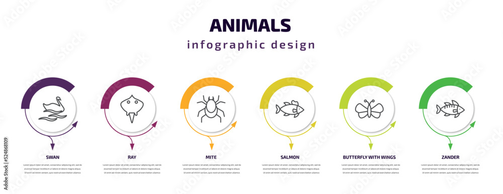 Fototapeta premium animals infographic template with icons and 6 step or option. animals icons such as swan, ray, mite, salmon, butterfly with wings, zander vector. can be used for banner, info graph, web,