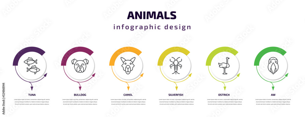 animals infographic template with icons and 6 step or option. animals icons such as tuna, bulldog, camel, silverfish, ostrich, aw vector. can be used for banner, info graph, web, presentations. animals infographic template with icons and 6 step or option. animals icons such as tuna, bulldog, camel, silverfish, ostrich, aw vector. can be used for banner, info graph, web, presentations.