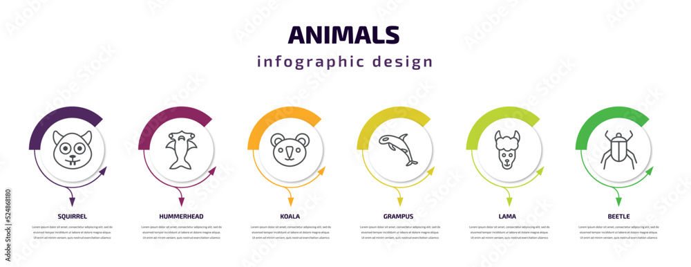 animals infographic template with icons and 6 step or option. animals icons such as squirrel, hummerhead, koala, grampus, lama, beetle vector. can be used for banner, info graph, web, presentations.