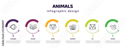 animals infographic template with icons and 6 step or option. animals icons such as flounder, racoon, skunk, seaweed, cat, colibri vector. can be used for banner, info graph, web, presentations.