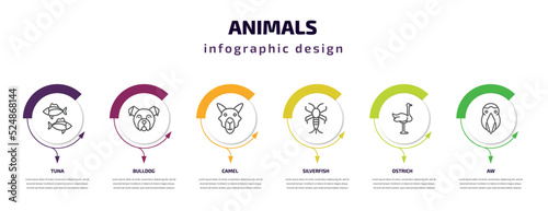 animals infographic template with icons and 6 step or option. animals icons such as tuna, bulldog, camel, silverfish, ostrich, aw vector. can be used for banner, info graph, web, presentations.