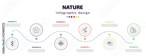 nature infographic element with icons and 6 step or option. nature icons such as larch leaf, season, reniform, perfoliate, rainbow behind a cloud, falling debris vector. can be used for banner, info