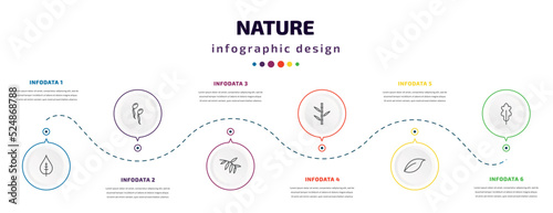 nature infographic element with icons and 6 step or option. nature icons such as nut leaf, fertilize clinic, black willow, bamboo sticks, orange leaf, oak leaf vector. can be used for banner, info