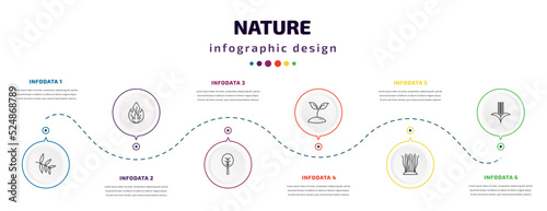 nature infographic element with icons and 6 step or option. nature icons such as willow leaf, burning flames, orbicular, seeding, fasciculate, grains vector. can be used for banner, info graph, web,