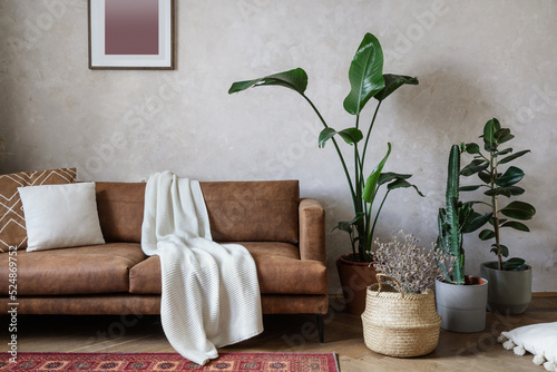 Living room with potted plants and couch in modern apartment photo