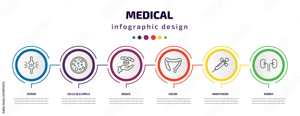medical infographic template with icons and 6 step or option. medical icons such as femur, cells in a circle, drugs, colon, anesthesia, kidney vector. can be used for banner, info graph, web, medical infographic template with icons and 6 step or option. medical icons such as femur, cells in a circle, drugs, colon, anesthesia, kidney vector. can be used for banner, info graph, web,