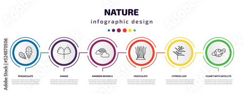 nature infographic template with icons and 6 step or option. nature icons such as pedunculate, ginkgo, rainbow behind a cloud, fasciculate, cypress leaf, planet with satellite vector. can be used
