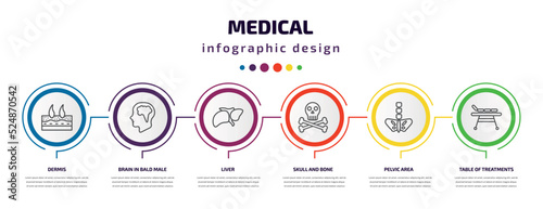 medical infographic template with icons and 6 step or option. medical icons such as dermis, brain in bald male head, liver, skull and bone, pelvic area, table of treatments vector. can be used for