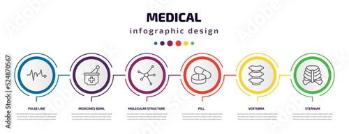 medical infographic template with icons and 6 step or option. medical icons such as pulse line, medicines bowl, molecular structure, pill, vertebra, sternum vector. can be used for banner, info