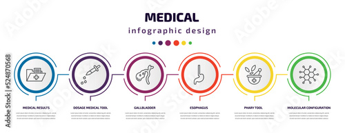 medical infographic template with icons and 6 step or option. medical icons such as medical results folders, dosage tool, gallbladder, esophagus, phary tool, molecular configuration vector. can be