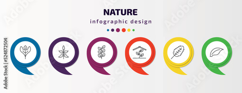 nature infographic template with icons and 6 step or option. nature icons such as sassafras leaf, sprig with five leaves, bilberry leaf, indoor, plum leaf, element vector. can be used for banner,