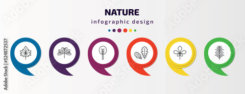 nature infographic template with icons and 6 step or option. nature icons such as hawthorn leaf, trifoliate ternate, orbicular, pedunculate, chestnut leaf, yew leaf vector. can be used for banner,