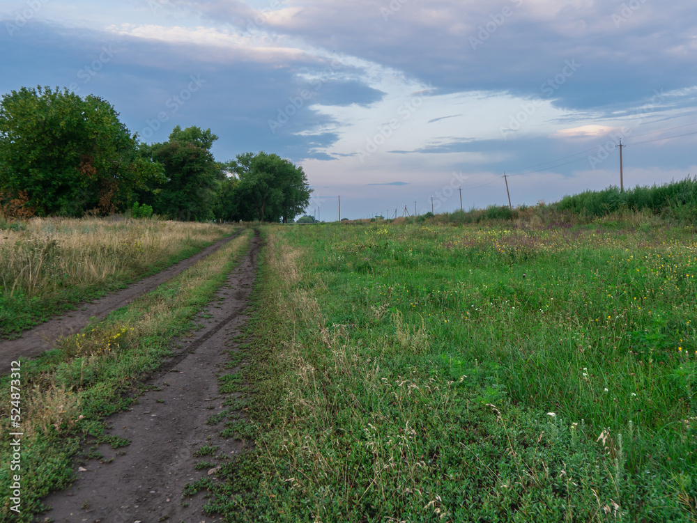Obraz premium path in the field with blue sky