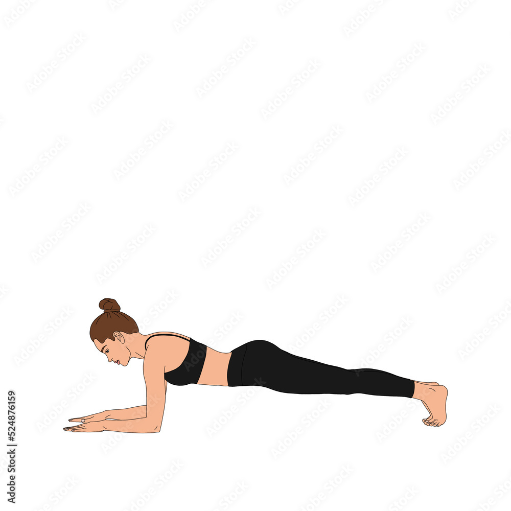 PNG Dolphin (Forearm) Plank Pose / Makara Adho Mukha Svanasana. Stretching flexible woman practicing doing yoga asana exercise without background. The cartoon illustration painting poster of person PNG Dolphin (Forearm) Plank Pose / Makara Adho Mukha Svanasana. Stretching flexible woman practicing doing yoga asana exercise without background. The cartoon illustration painting poster of person