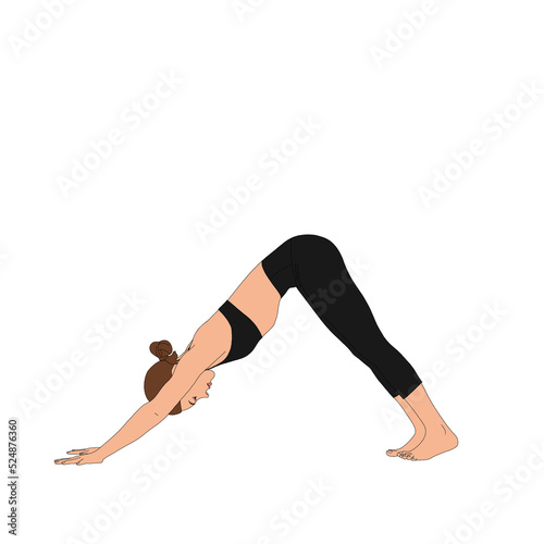 PNG Downward Facing Dog Pose / Adho Mukha Savanasana. Beautiful flexible woman figure practicing yoga basic asana without background. Fashion illustration painting poster of person doing asana