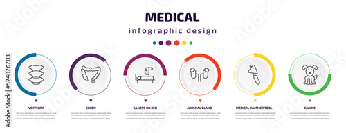 medical infographic element with icons and 6 step or option. medical icons such as vertebra, colon, illness on bed, adrenal gland, medical hammer tool, canine vector. can be used for banner, info