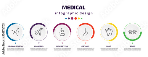medical infographic element with icons and 6 step or option. medical icons such as molecular structure, gallbladder, microscope tool, esophagus, molar, braces vector. can be used for banner, info