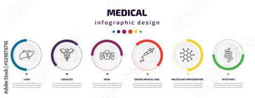 medical infographic element with icons and 6 step or option. medical icons such as liver, caduceus, dead, dosage medical tool, molecular configuration, intestines vector. can be used for banner,