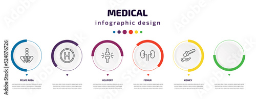 medical infographic element with icons and 6 step or option. medical icons such as pelvic area, , heliport, femur, kidney, acid falling on hand vector. can be used for banner, info graph, web,