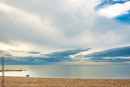 A dog plays on a sand beach in the morning under dramatic  clouds.  Shot at kew Beach in the Beaches neighbourhood of Toronto,  Room for text. photo