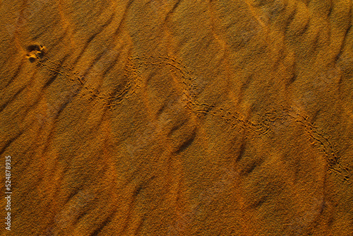 lignes dans le sable