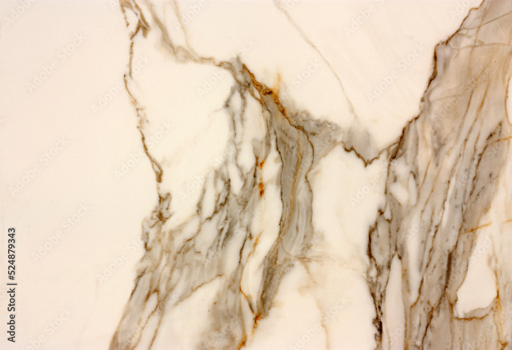 An abstract pattern of a layered section of a stone. Background in warm white, gray, black and brown tones. An abstract pattern of a layered section of a stone. Background in warm white, gray, black and brown tones.