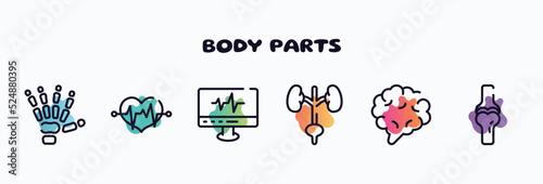 body parts outline icons set. thin line icons such as human hand bones, life, heartbeats monitoring, excretory system, brain body organ, ball of the knee icon collection. can be used web and mobile.