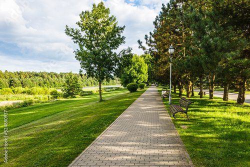The row of oak trees, grassy lawn, and pathway. Urban recreation and outdoor activities area