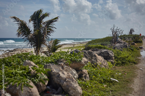 Isla Mujers's seashore