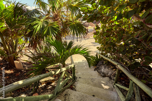 Stairway surrounded by tropical vegetation