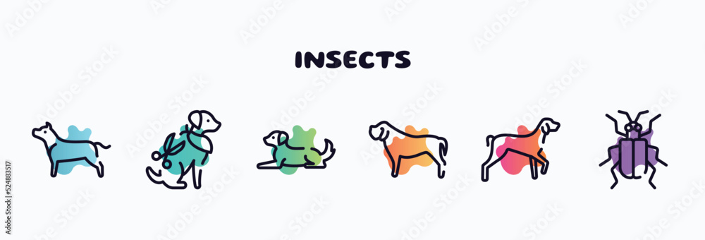 insects outline icons set. thin line icons such as american staffordshire terrier, grooming pet, dog lying, mastiff, kurzhaar, asparagus beetle icon collection. can be used web and mobile.