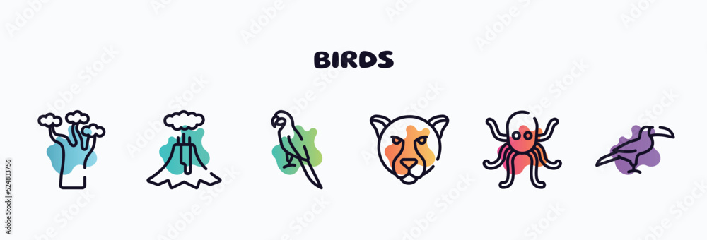 birds outline icons set. thin line icons such as baobab, volcano, parrot, jaguar, octopus, toucan icon collection. can be used web and mobile. birds outline icons set. thin line icons such as baobab, volcano, parrot, jaguar, octopus, toucan icon collection. can be used web and mobile.