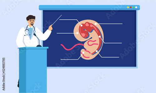Doctor explaining Human embryo anatomy. doctor at conference discuss type of anatomy.  education concept. Flat vector illustration.