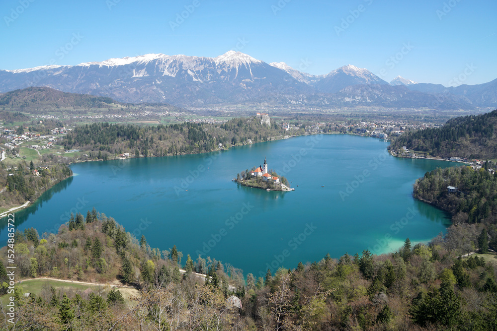 Lake Bled in Slovenia with church and castle                               