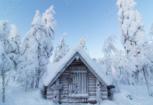 Hut in the snowy forest