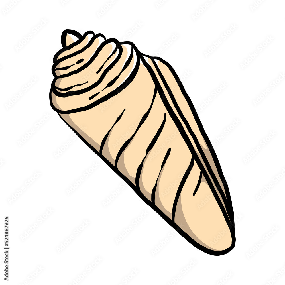 Hand Drawn Shell Illustrations
Hand Drawn Shell Illustrations