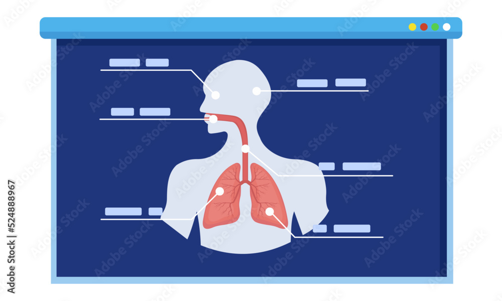 Human lungs Diagram with explaining. explain anatomy for lecture ... Biology Diagrams