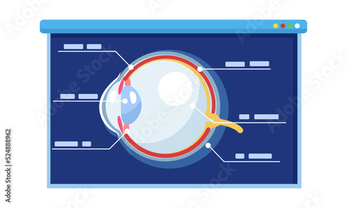 Doctor explaining Human eye anatomy. doctor at conference discuss type of anatomy.  education concept. Flat vector illustration.