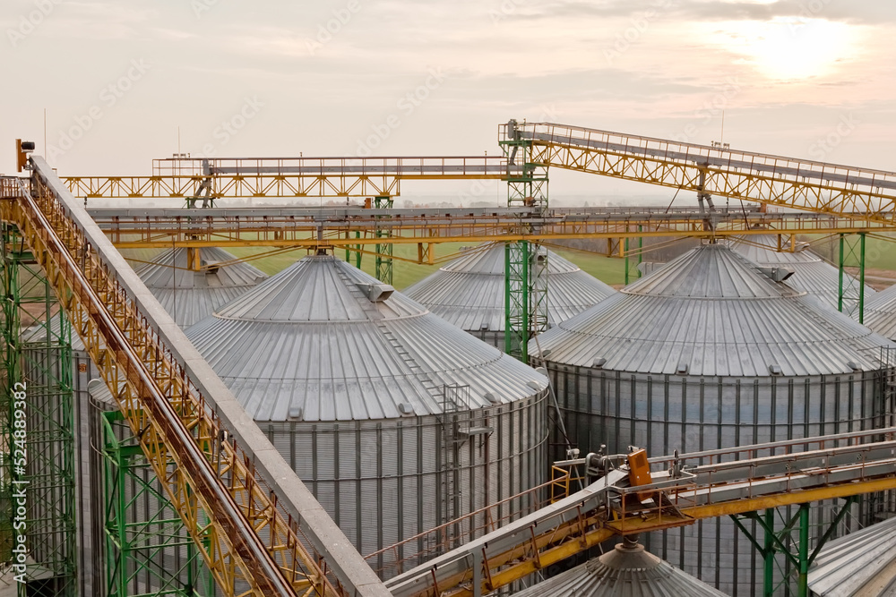 Fototapeta premium Grain elevator silos in Ukraine