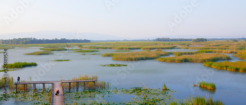 Efteni Lake with water lily and long pier in Duzce, Turkey. photo