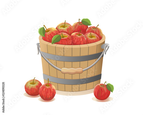 Red and yellow apples in a wooden bucket and three apples are lying next to the bucket on a white  background. Fruits, vitamins, iron and minerals. Proper nutrition. Label. Vector illustration.