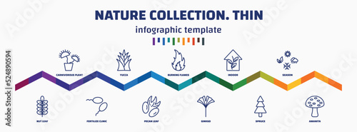 infographic template with icons and 11 options or steps. infographic for nature collection. thin concept. included carnivorous plant, nut leaf, yucca, fertilize clinic, burning flames, pecan leaf,