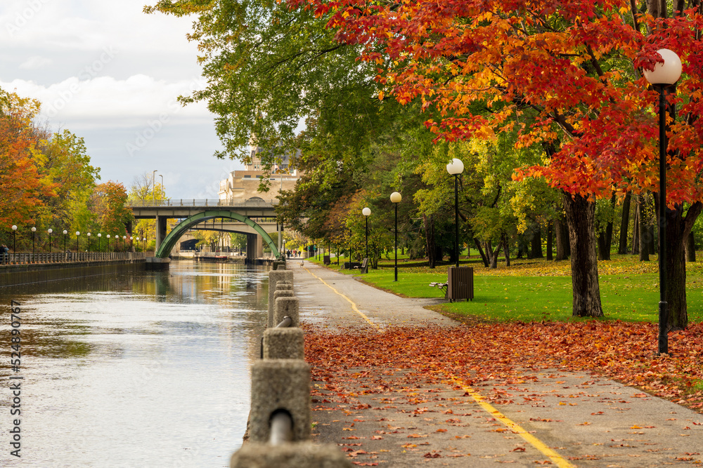 Fall foliage in Ottawa, Ontario, Canada. Rideau Canal Eastern Pathway autumn red leaves scenery. Laurier Avenue Bridge. - obrazy, fototapety, plakaty 