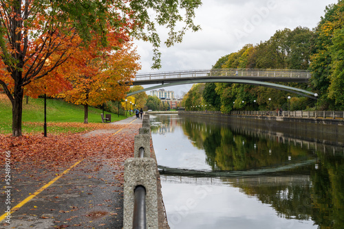 фотографія Fall foliage in Ottawa, Ontario, Canada