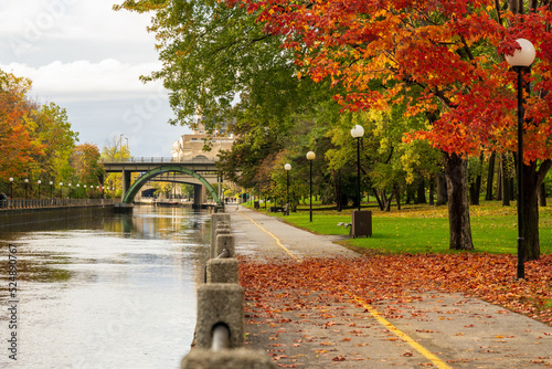 Fall foliage in Ottawa, Ontario, Canada. Rideau Canal Eastern Pathway autumn red leaves scenery. Laurier Avenue Bridge.