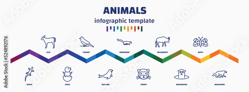 infographic template with icons and 11 options or steps. infographic for animals concept. included calf, gecko, canary, chick, mongoose, sea lion, wildebeest, ferret, moth, wolverine icons.