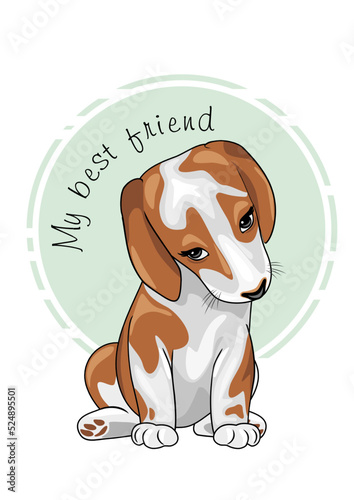 Shy cute puppy is my best friend