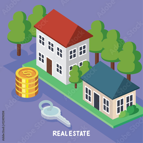 houses and coins