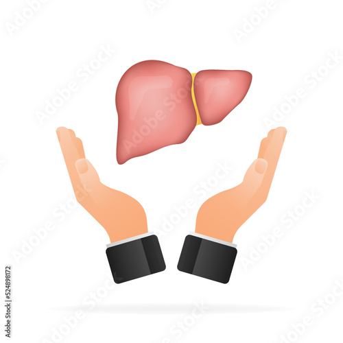 Liver anatomy structure. Digestive gallbladder organ. Vector illustration.