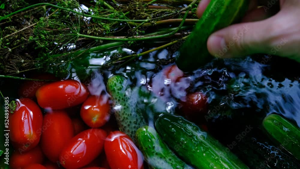 Fresh vegetables in the sink under water, tomatoes and cucumbers, dill